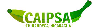 CAIPSA