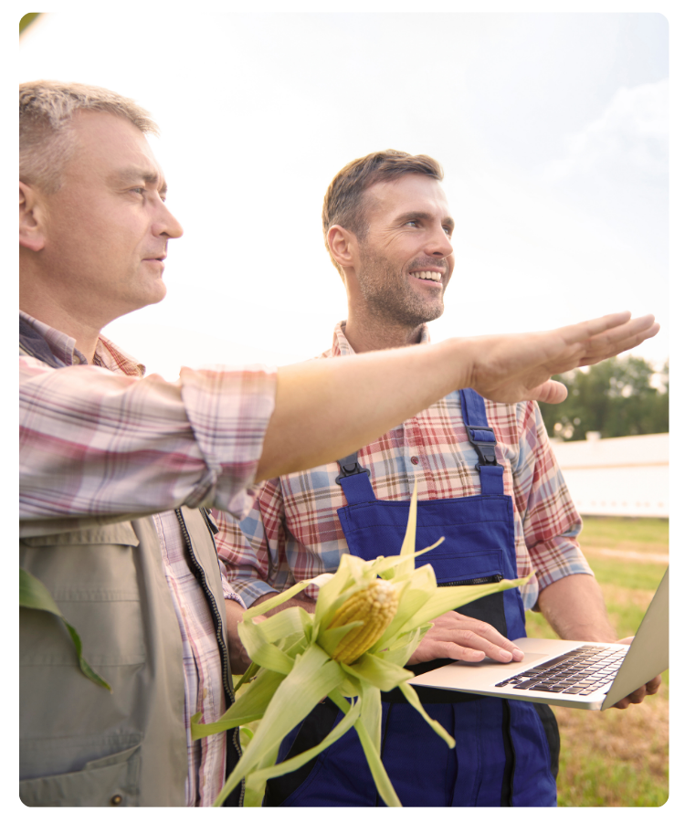 sistema de gestion agricola